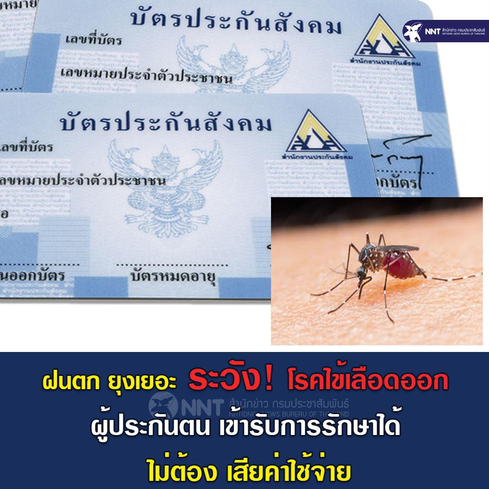 ฝนตก ยุงเยอะ ระวัง!! โรคไข้เลือดออก ผู้ประกันตน เข้ารับการรักษาได้ ไม่ต้องเสียค่าใช้จ่าย