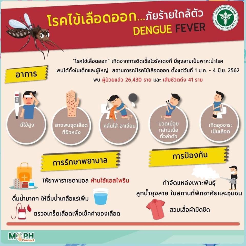 กระทรวงสาธารณสุข ชวนยึดหลัก 3 เก็บ ปลอดยุงลาย ปลอดไข้เลือดออก